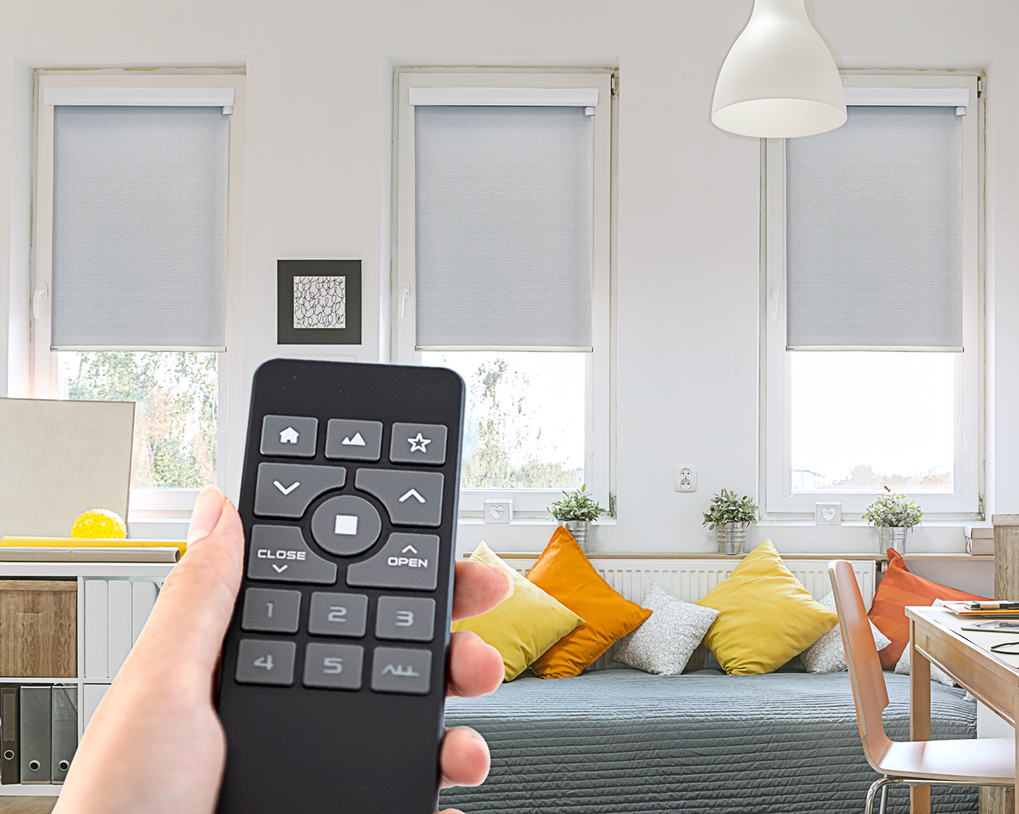 Roller Smart Remote
